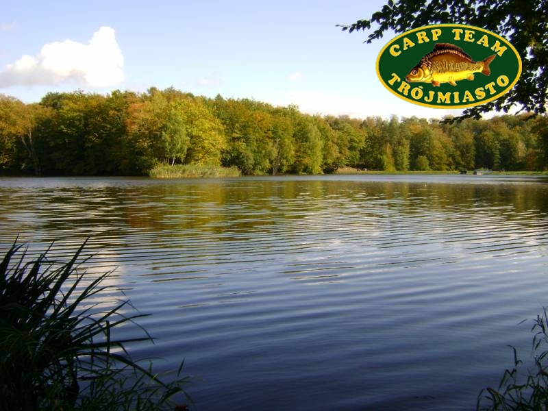 http://www.carpteam3miasto.ugu.pl/art_goplanica_pliki/image001.jpg