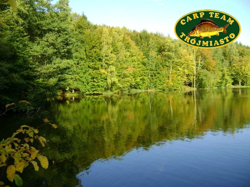 http://www.carpteam3miasto.ugu.pl/art_goplanica_pliki/image006.jpg