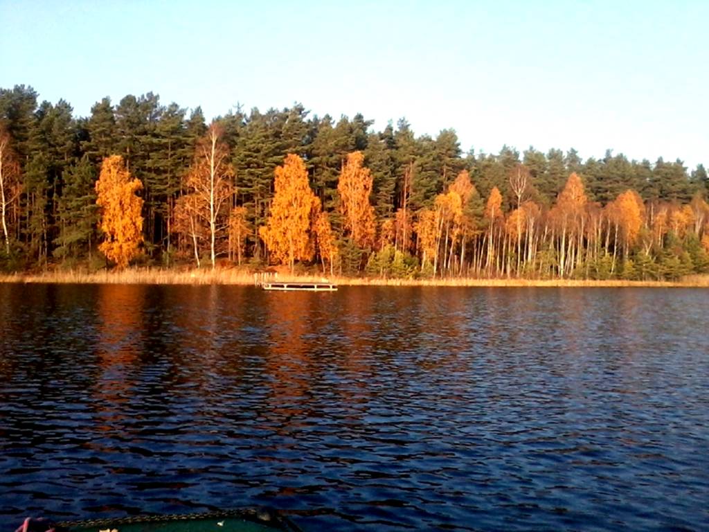 Zdjecie0009.jpg