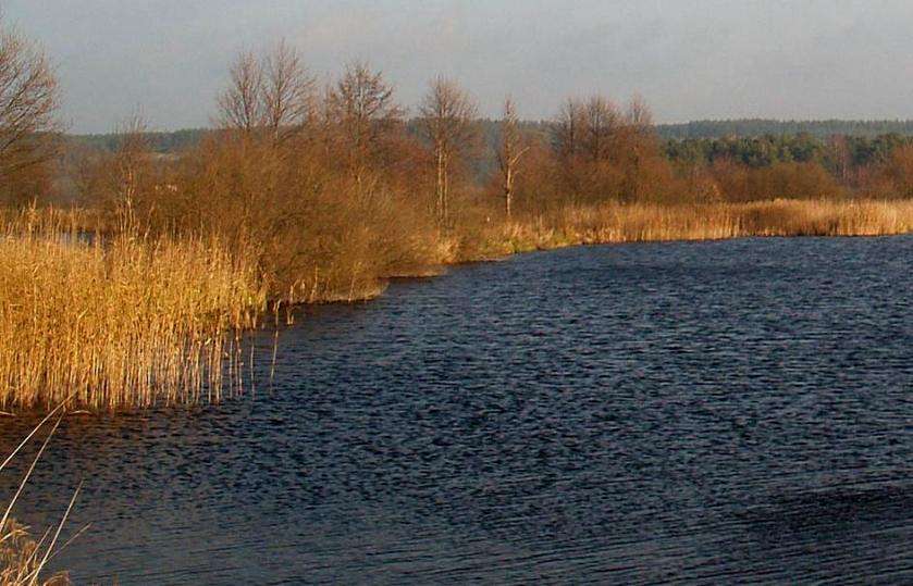 http://www.carpteam3miasto.ugu.pl/art_orle_pliki/image006.jpg