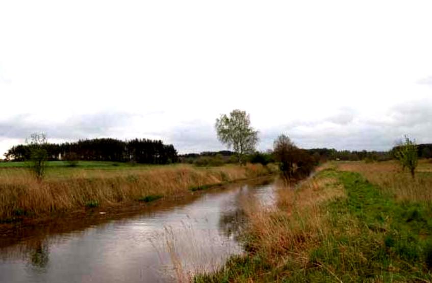 http://www.carpteam3miasto.ugu.pl/art_orle_pliki/image008.jpg