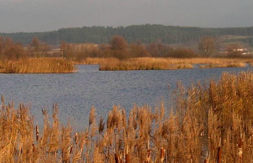 http://www.carpteam3miasto.ugu.pl/art_orle_pliki/image010.jpg