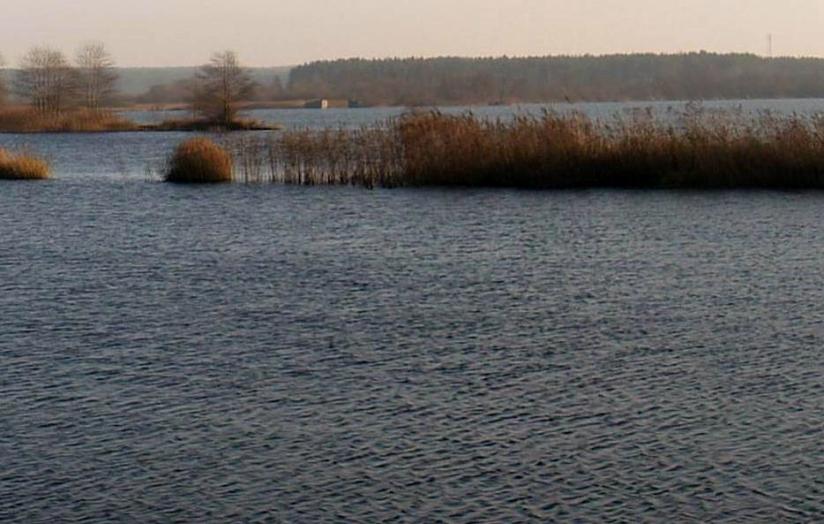 http://www.carpteam3miasto.ugu.pl/art_orle_pliki/image014.jpg