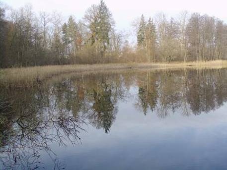 zatoka strona po-udniowo-zachodnia.jpg